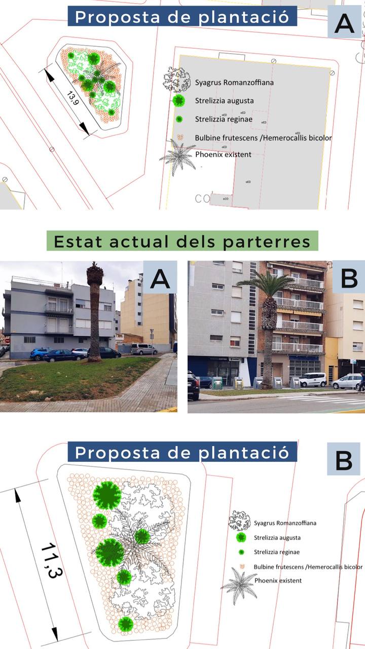 Ajuntament d´Amposta > Comunicació > L’Ajuntament d’Amposta inicia les obres de millora d’espais verds a l’avinguda Catalunya